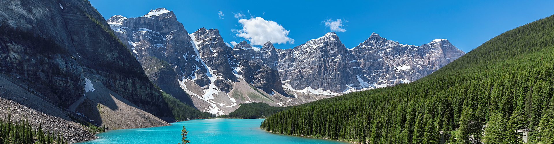 Michael Hayward Community