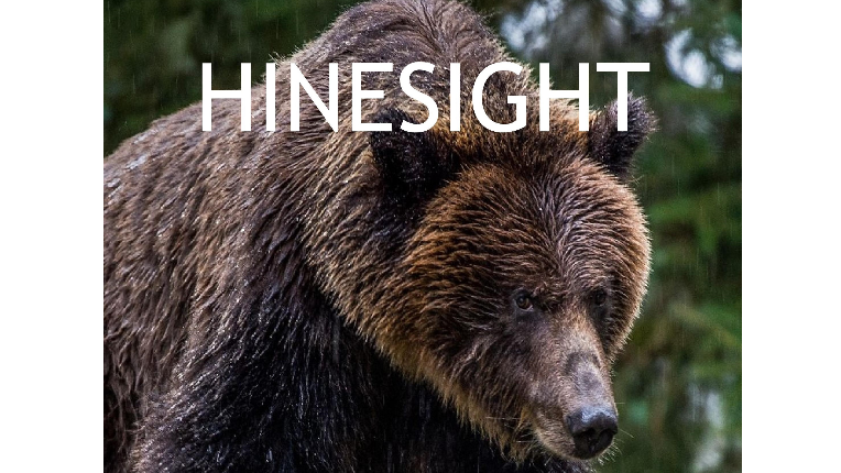 Hinesight Q2 2020
