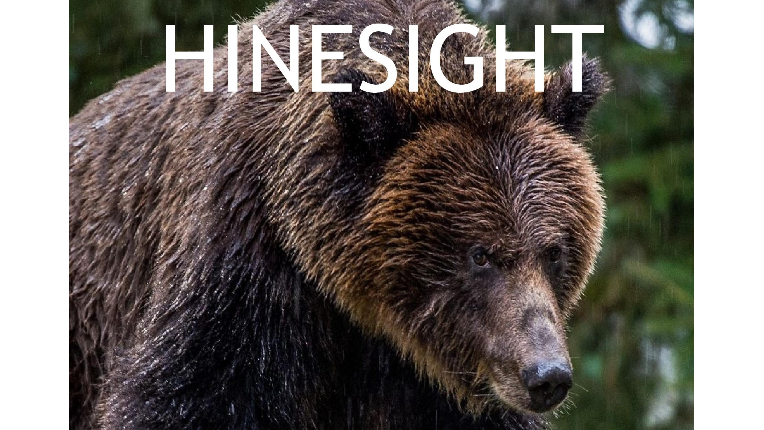 Bear with Hinesight in Lettering