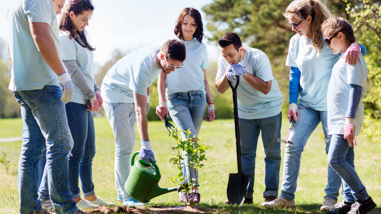 Un groupe de personnes qui plante un arbre