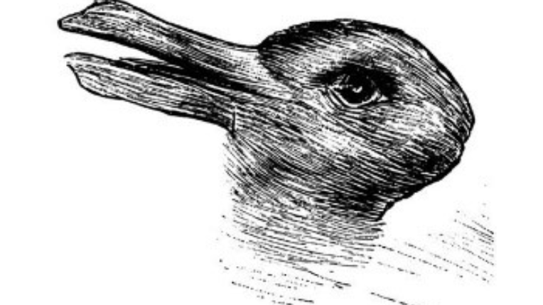 The rabbit-duck illusion