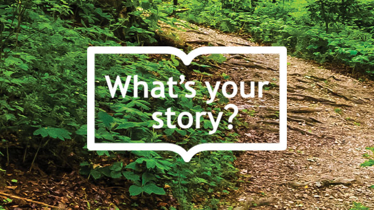 What's Your Story text overlaid a forest path