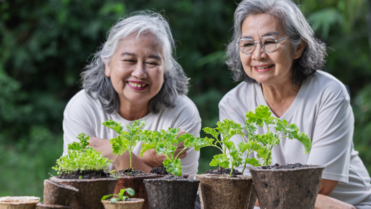 Two seniors look at plants growing
