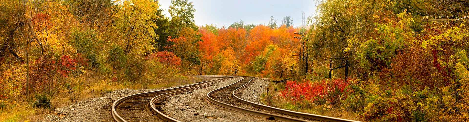 Parent Marsden Advisory Group Home