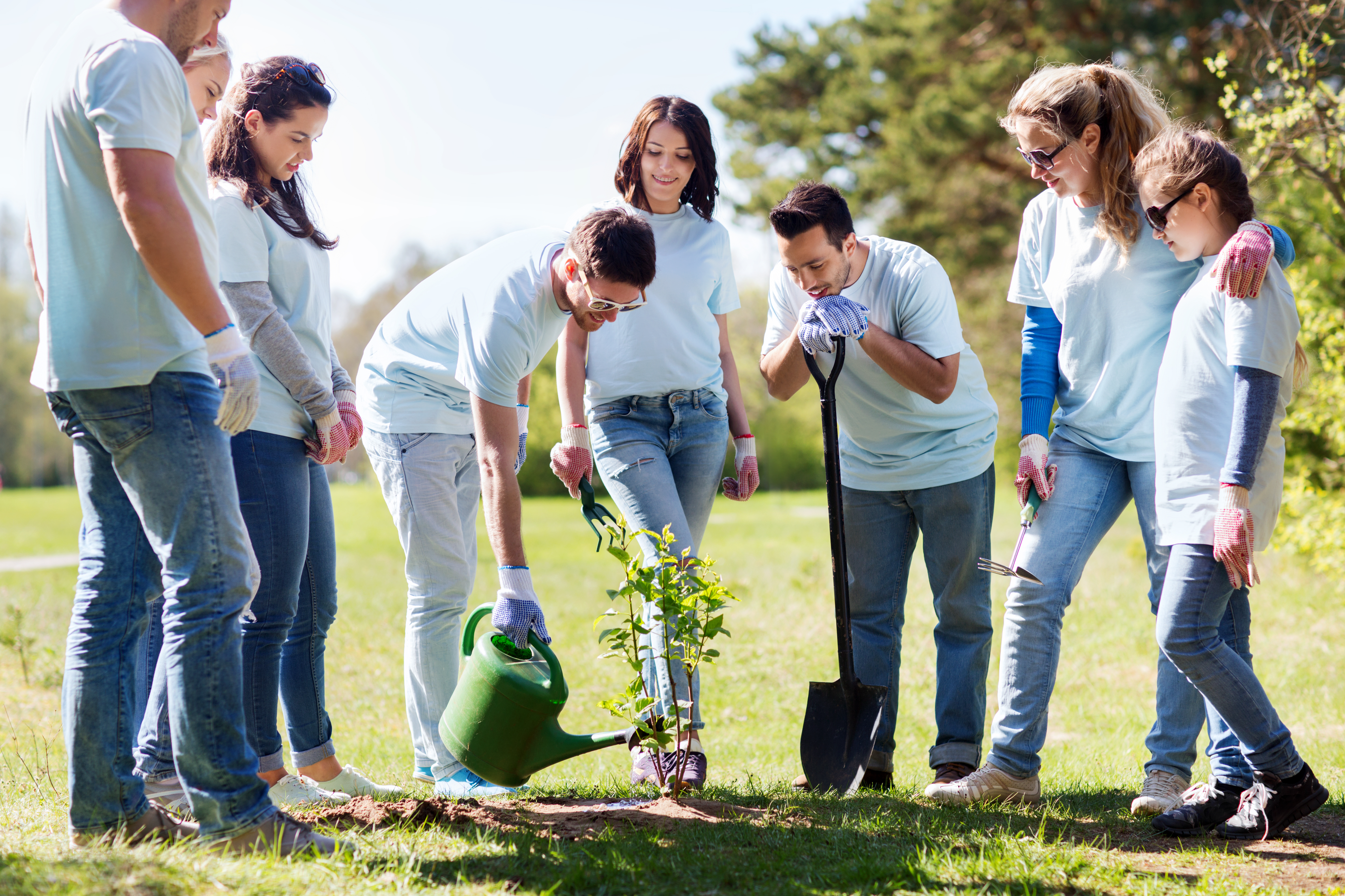A group of people planting a tree