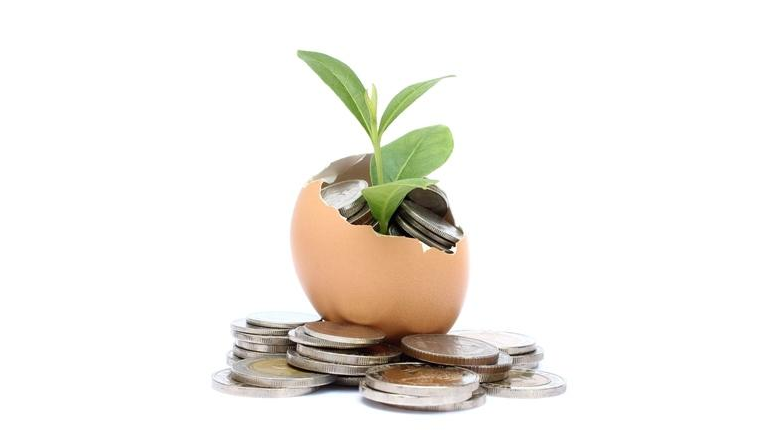 a broken planter with money and a plant