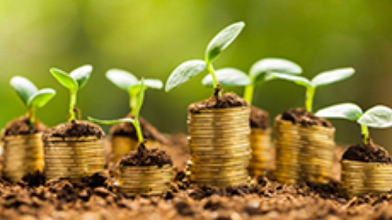 Plants growing on stacked coins