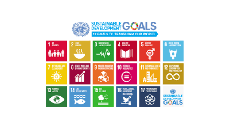 Sustainable Development Goals (SDG's)