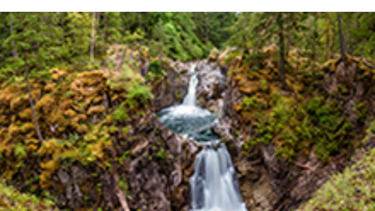 a small waterfall on mossy rocks
