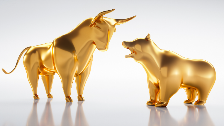 Golden bull and bear of the market