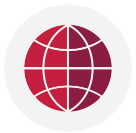 globe icon