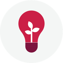 icon of a lightbulb with a plant sprouting