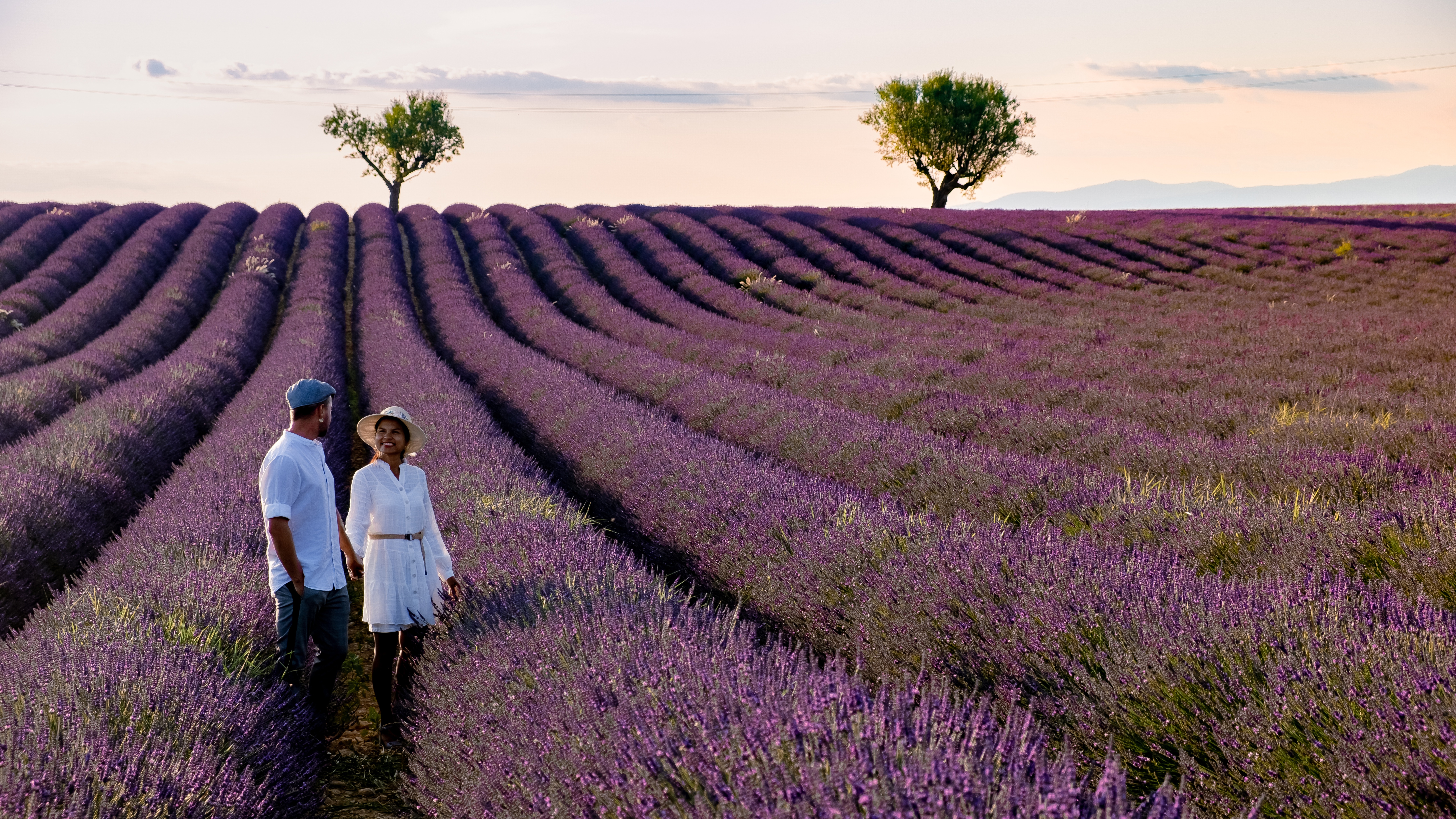 Family in a field