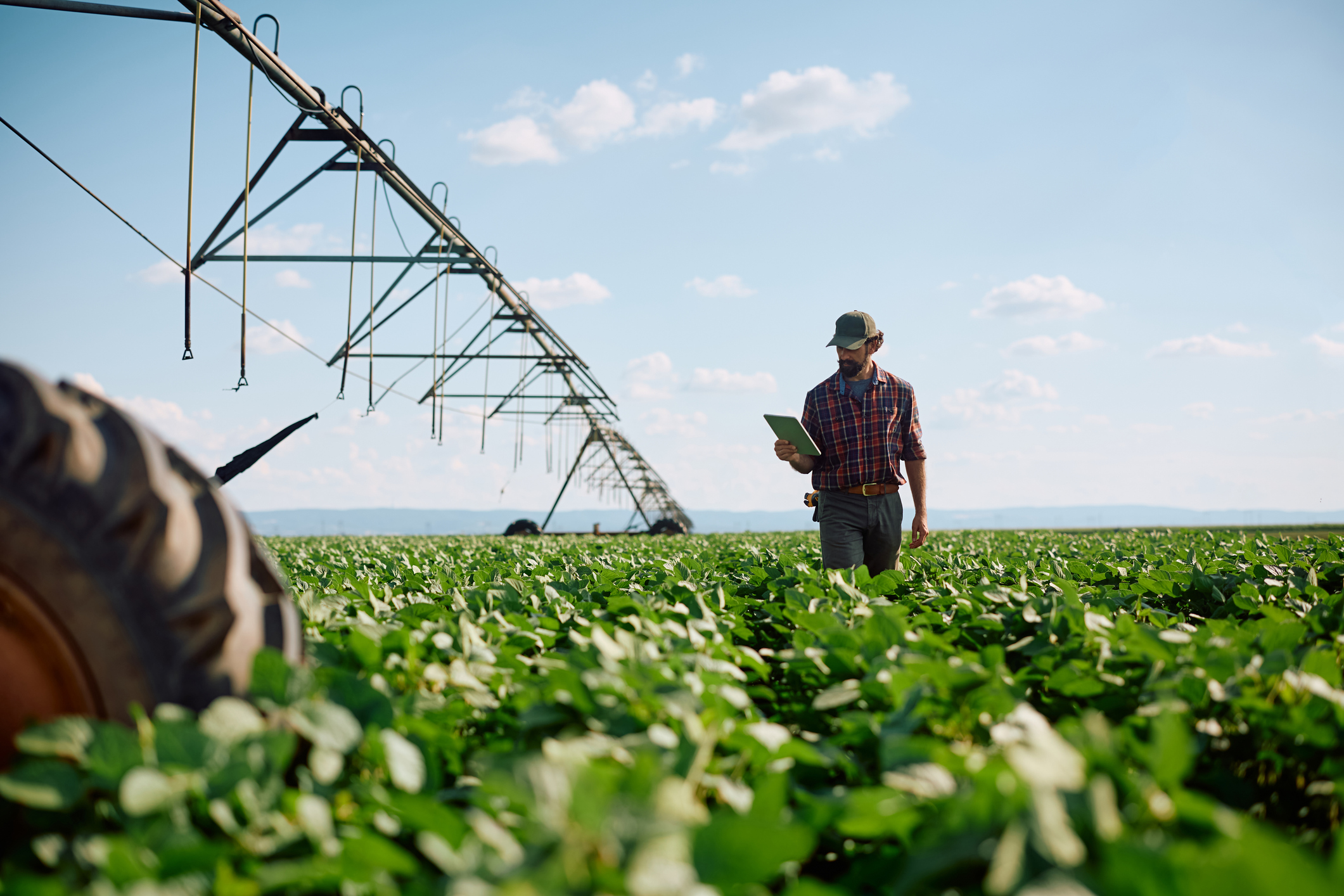 farmer