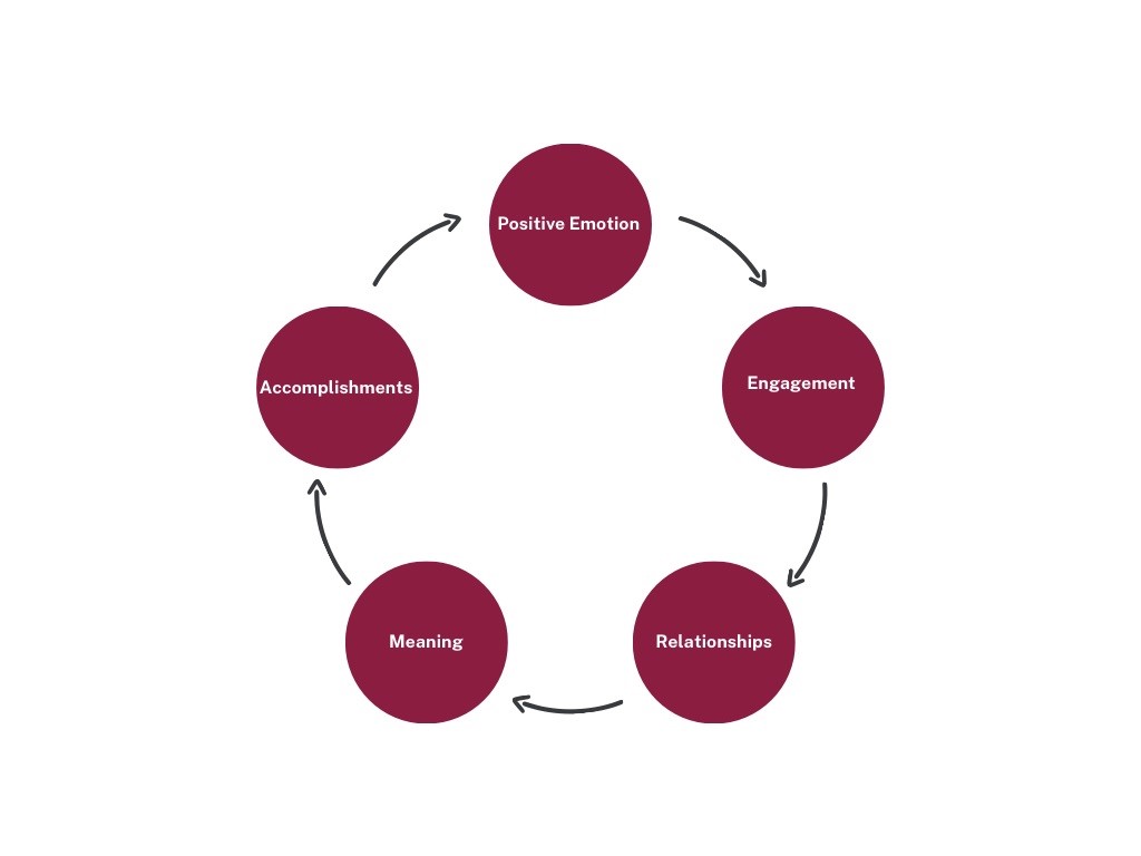 Image of a cycle with the words: Positive Emotion, Engagement, Relationships, Meaning and Accomplishments