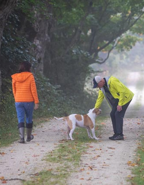 Family walking down a path with dog