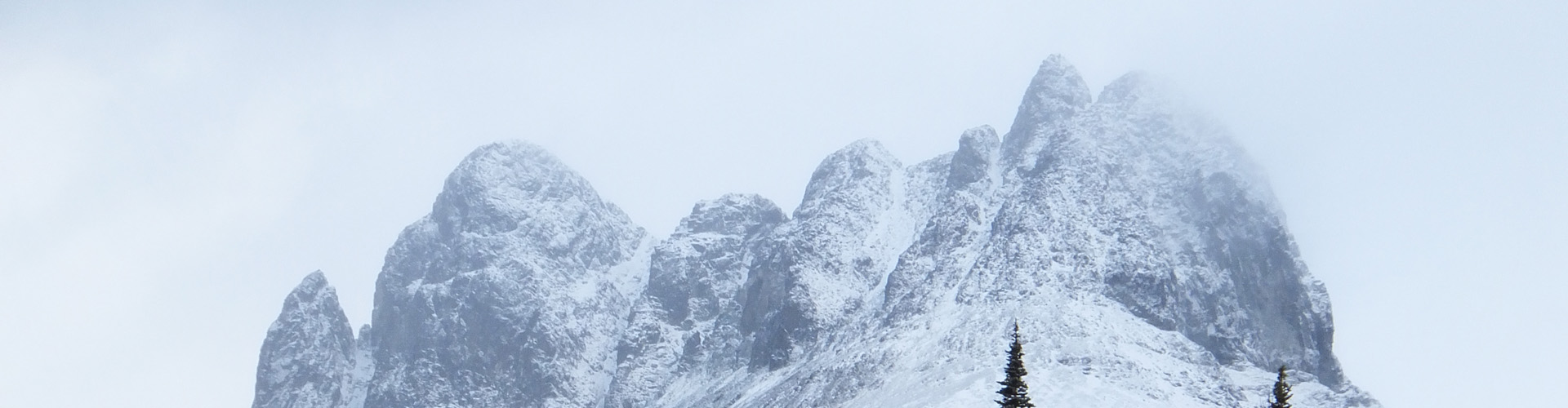 Snow-covered mountain peaks rising through mist under an overcast sky, with a few evergreen trees below.
