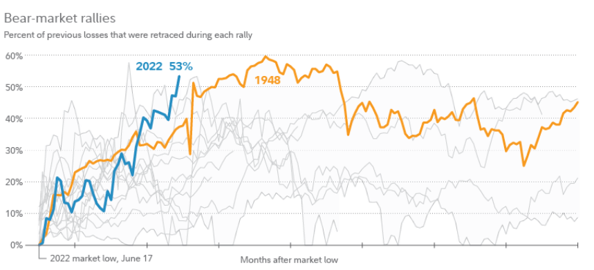 Bear-Market Rallies Graph