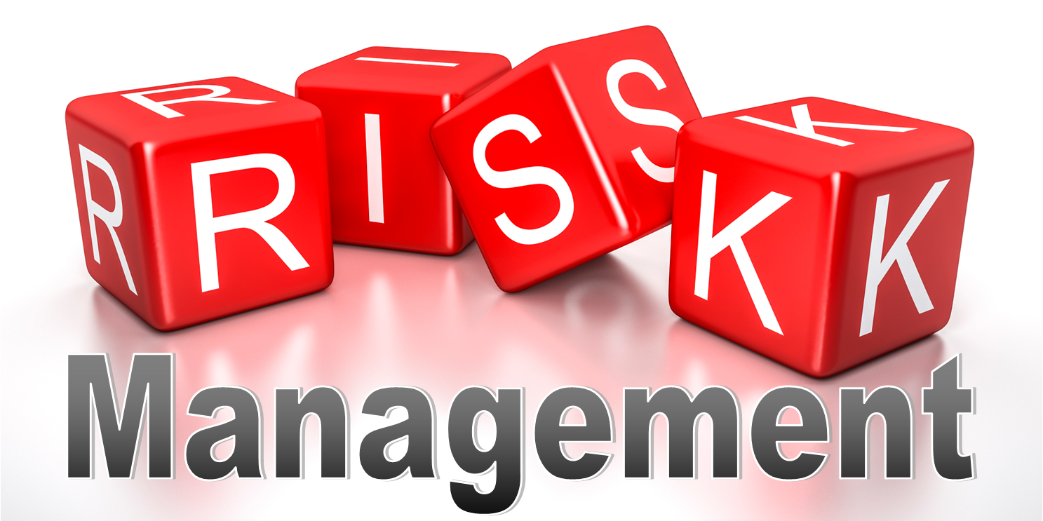 Risk Management with Risk spelt on 4 dice