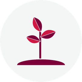 sapling growing in dirt icon