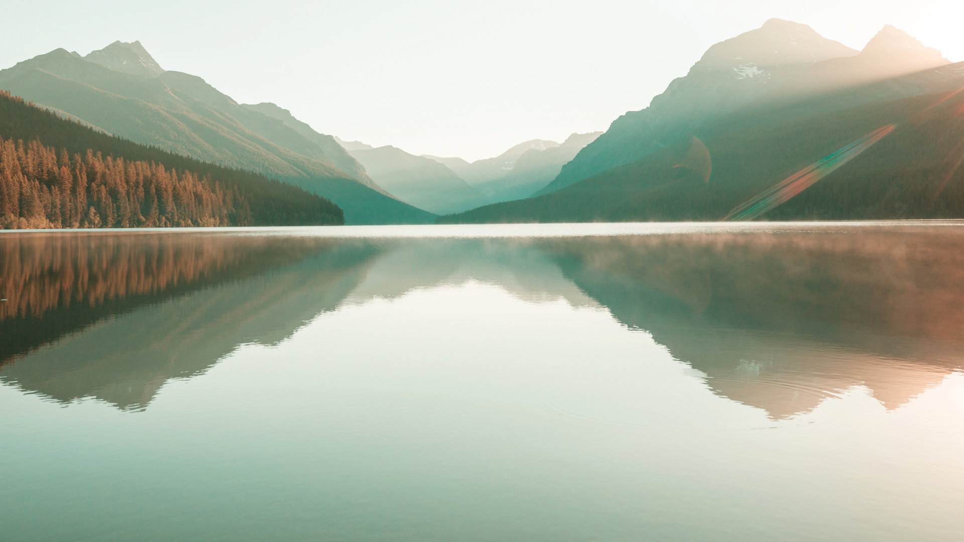Person reviewing financial plan calmly