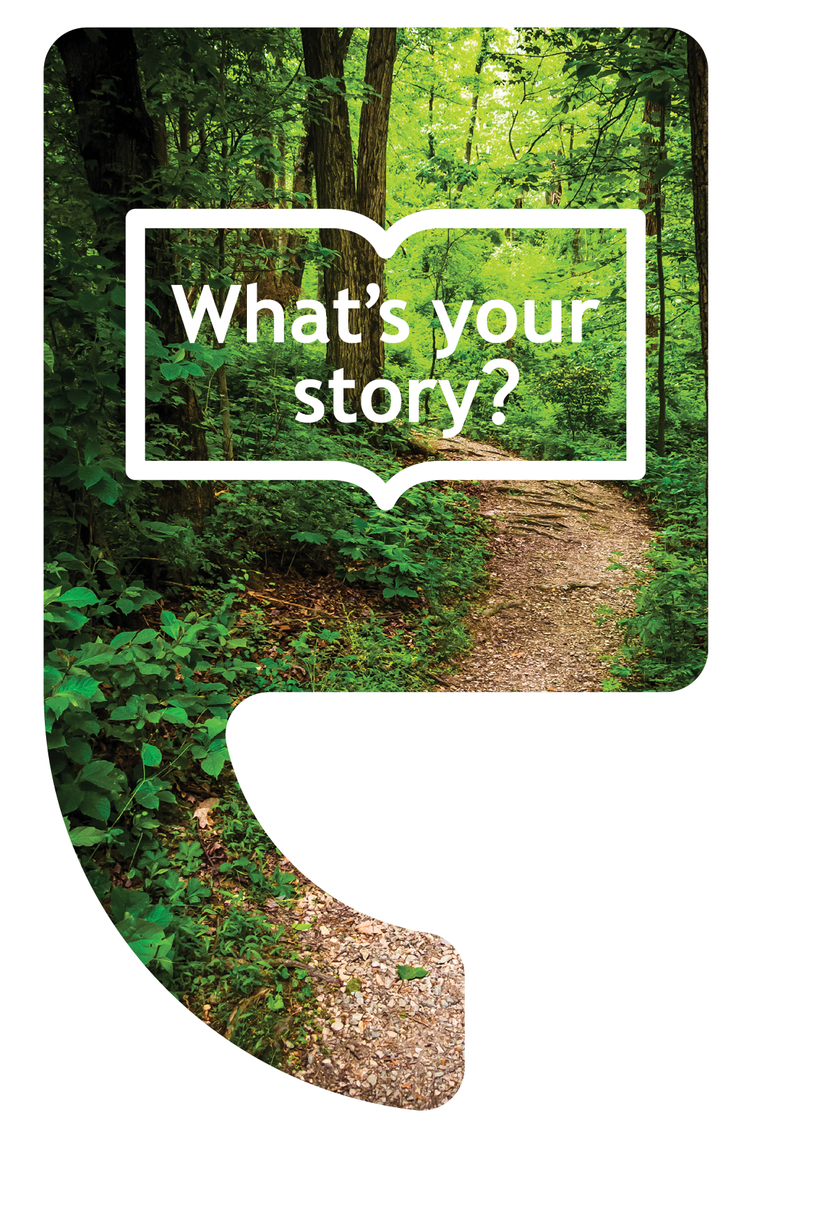 What's Your Story? Quotation annotation, forest path.