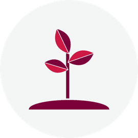 Leaf growing out of soil icon
