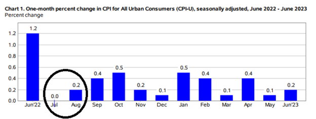 A bar chart showing the YoY change in US CPI for the last thirteen months.