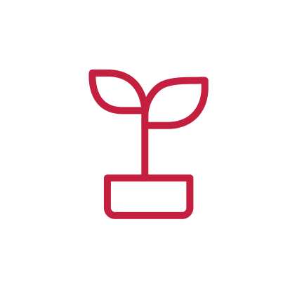 A plant icon